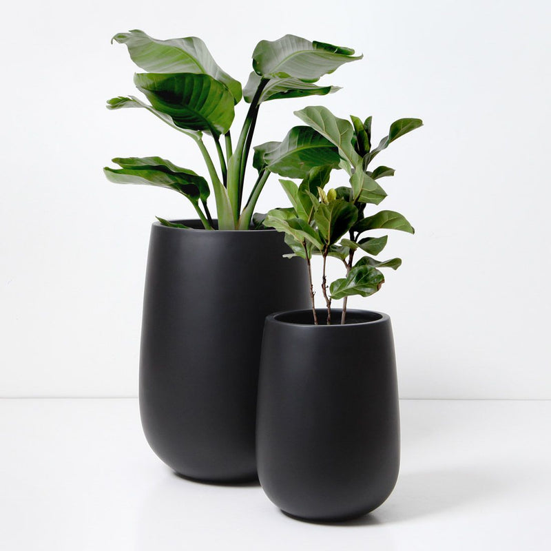 PLANTER