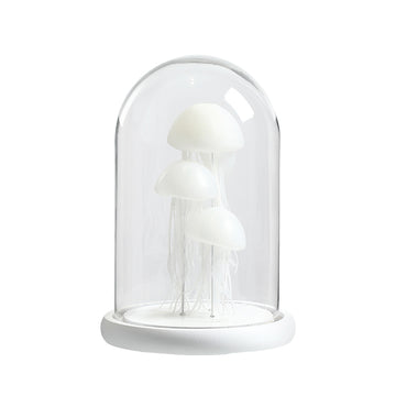 Nightlight Jellyfish