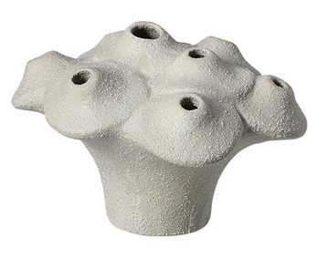 CORAL CREST VASE